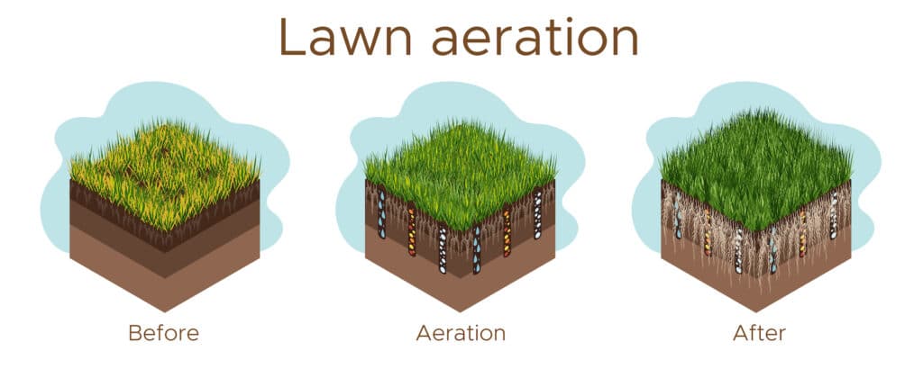 Lawn aeration process